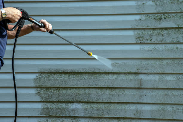 Best Best Pressure Washing Companies  in Coaldale, PA