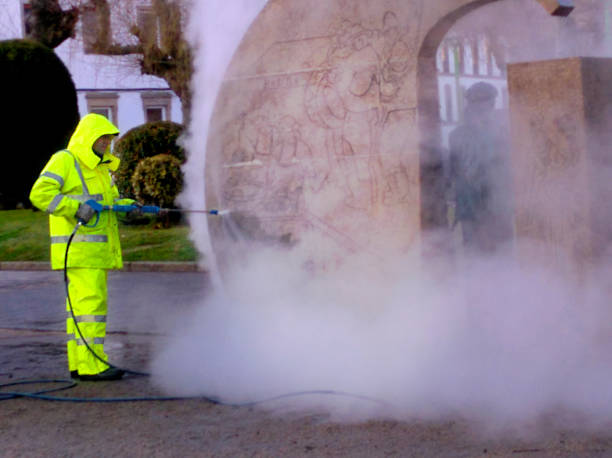 Best Pressure Washing Driveway  in Coaldale, PA